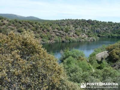 Senda Genaro - GR300 - Embalse de El Atazar - Embalse de Puentes Viejas - Presa de El Villar